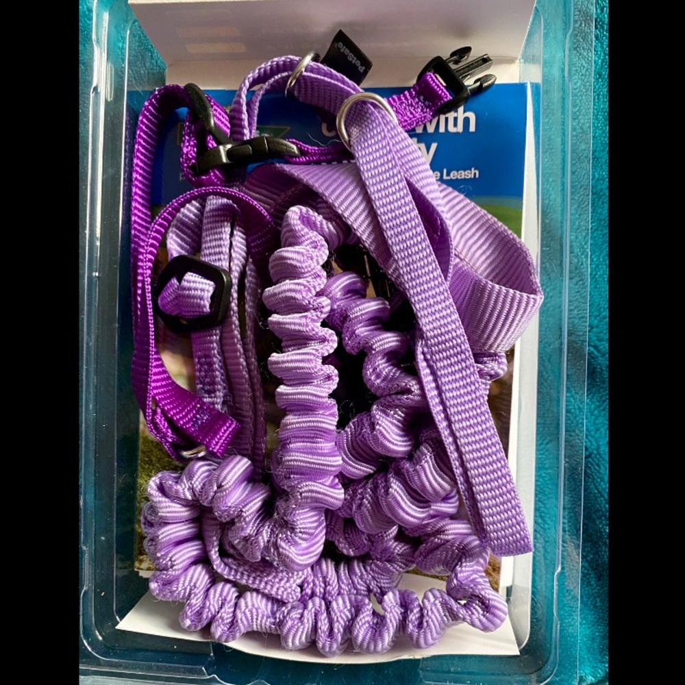 Purple cat harness with bungee leash - PetSafe brand